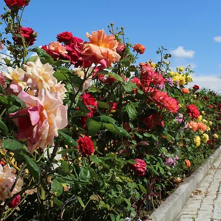 Casa Da Seara Casa de Campo