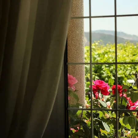 Casa de Campo Casa Da Seara *