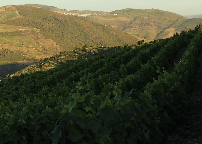 Casa Da Seara Kır Evi