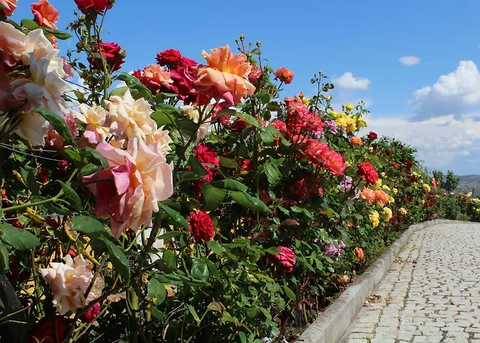 Casa Da Seara Kır Evi