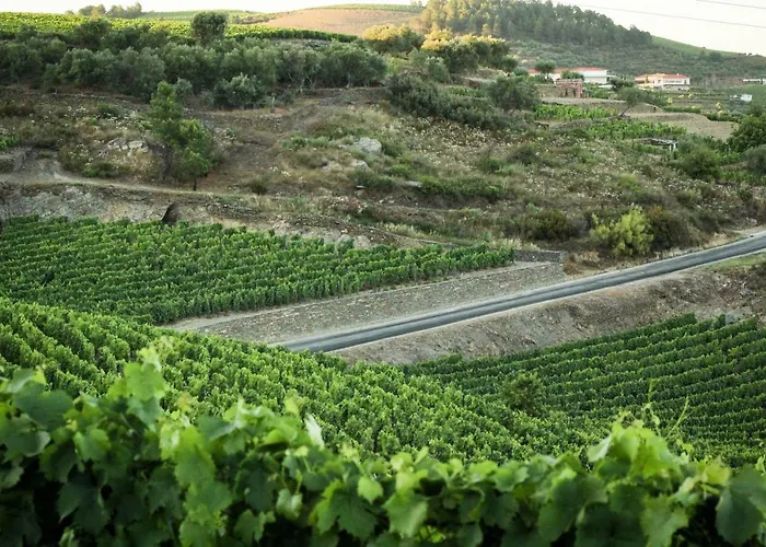 Kır Evi Casa Da Seara *